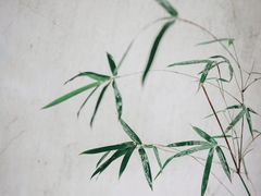 -祝家花園(伯渎港店)