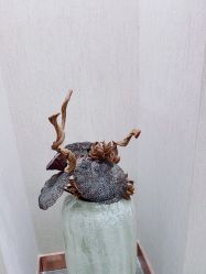 -圣梦亲体美肤生活馆