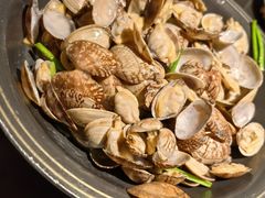 -前海沿·青岛菜(大拇指广场石老人店)