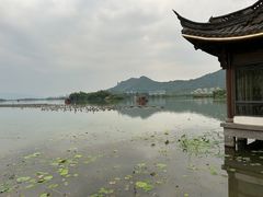 -茗醉园茶楼