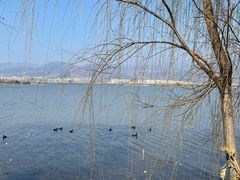 -西昌邛海宾馆