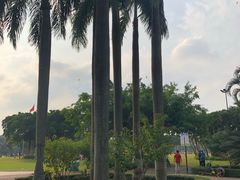 -万绿园
