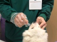 -瑞派康怡24h宠物医院·犬猫医疗中心·微创绝育(瑞景分院)