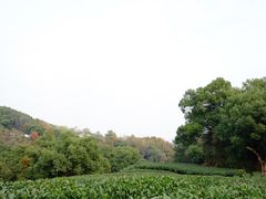 -西湖风景区十里琅珰-五云山