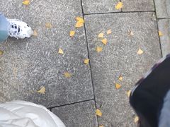 -炊烟小炒黄牛肉(中心印象城店)