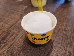 -莓园冰淇淋店
