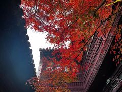 -苏州文旅花间堂·探花府酒店