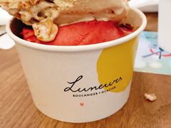 -LUNEURS月乐诗·法式冰淇淋(环贸店)