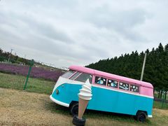 -嘉北郊野公园
