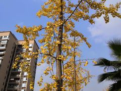 -重庆工商大学(南岸校区)