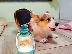 -星巴克(北京环球金融中心店)