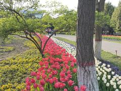 -石家庄市植物园
