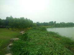 -尚贤河湿地