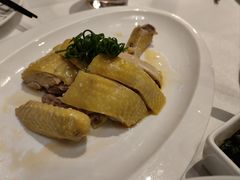 -圆苑(金茂店)