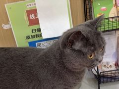 -希望动物医院(汉阳院)
