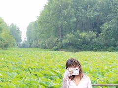 -合肥滨湖国家森林公园