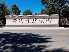 -金塔沙漠胡杨林景区