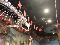 -华夏文旅海洋公园