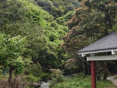 -广州市石门国家森林公园