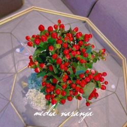 -MJ skin care国际皮肤管理中心