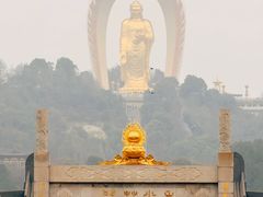 -庐山风景名胜区-东林大佛