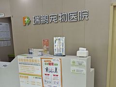 -瑞鹏宠物医院·骨外科·心肾科·肿瘤科(九亭店)