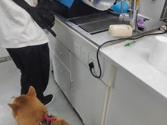 -中农国际动物医院24小时·猫科·骨科·急重症中心