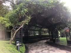 -青岛鑫江温德姆酒店