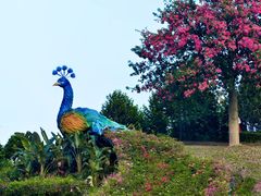 -东莞植物园