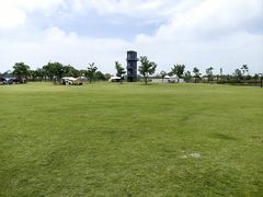 -春花秋色城市公园