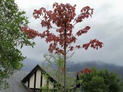 -太阳湾风景区