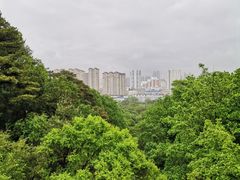 -北山公园