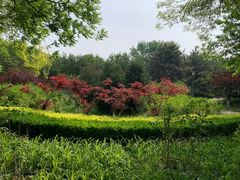 -大兴滨河森林公园