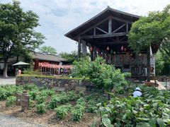 -田园东方蜜桃村的田野营地