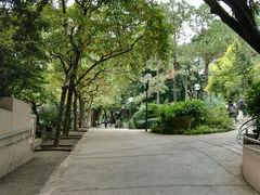-九龙公园