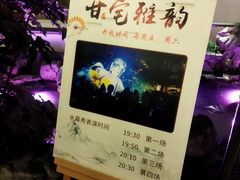 -南京市民俗博物馆(甘熙宅第)
