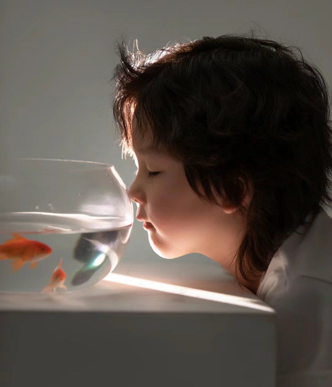 小男孩与金鱼的拍摄氛围感也太强了吧