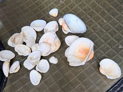 -碧桂园十里银滩