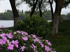 -桐湾大院·桐庐菜(滨江店)