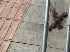 -邓记新一代糖油果子(四川煤管局供销公司职工宿舍店)