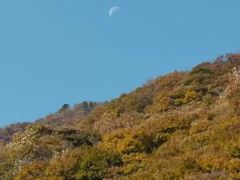 -秦岭风景区