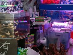 -清平路水族市场