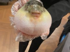 -肆月河豚·新淮扬(金融街店)