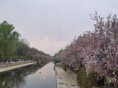 -元大都城垣遗址公园