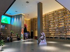 -深影国际影城(学院南路店CGS中国巨幕店)