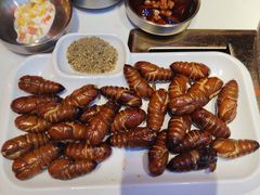 -杨记齐齐哈尔烤肉(总店)