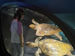 -广东科学中心