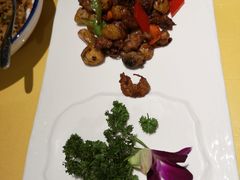 -素虎小呆鸟(西二旗店)