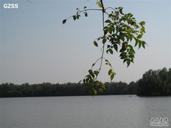 -大湾区中央湿地公园