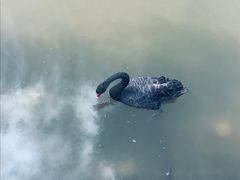 -芭东小镇温泉